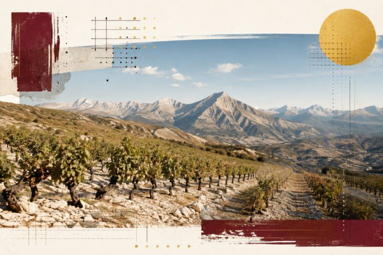 Malbec d&rsquo;altitude : ce que 1 000 m changent au verre